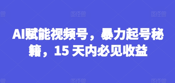AI赋能视频号，暴力起号秘籍，15 天内必见收益【揭秘】-第一资源网