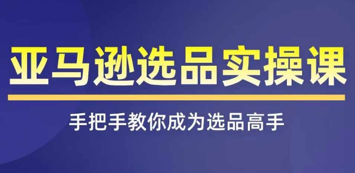 亚马逊选品实操课程，快速掌握亚马逊选品的技巧，覆盖亚马逊选品所有渠道-第一资源网