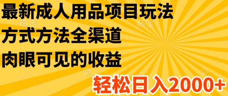 最新成人用品项目玩法，方式方法全渠道，轻松日入2K+【揭秘】-第一资源网