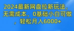 2024最新网盘拉新玩法,无需成本,0基础小白可做,轻松月入6000+【揭秘】-第一资源网