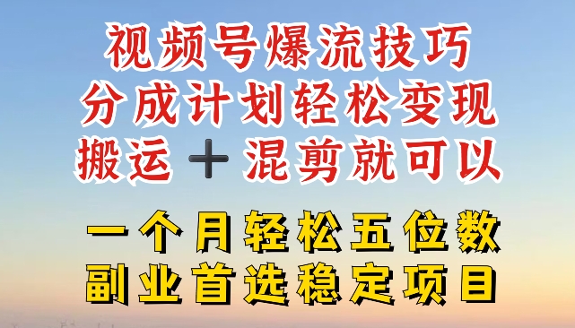 视频号爆流技巧，分成计划轻松变现，搬运 +混剪就可以，一个月轻松五位数稳定项目【揭秘】-第一资源网