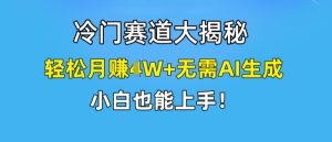 冷门赛道大揭秘,轻松月赚1W+无需AI生成,小白也能上手【揭秘】-第一资源网