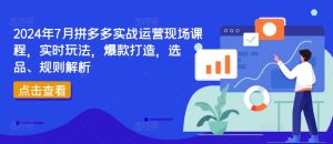 2024年7月拼多多实战运营现场课程，实时玩法，爆款打造，选品、规则解析-第一资源网