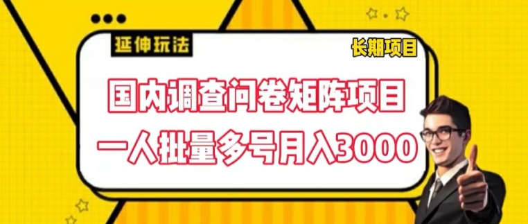 国内调查问卷矩阵项目，一人批量多号月入3000【揭秘】-第一资源网