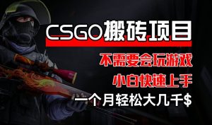 CSGO 装备搬砖项目，操作简单，不需要会玩游戏，小白也能快速上手，一个月轻松大几千【揭秘】-第一资源网