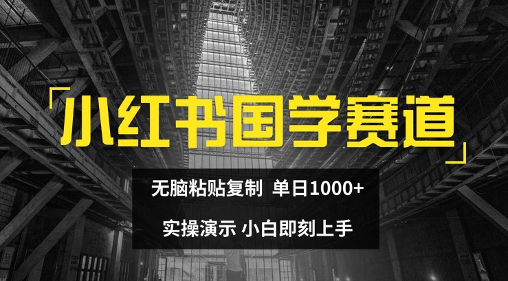 小红书国学赛道，无脑粘贴复制，单日1K，实操演示，小白即刻上手【揭秘】-第一资源网