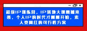 超级IP训练营,IP落地大课震撼来袭,个人IP的时代才刚刚开始,素人变网红的可行性方案-第一资源网