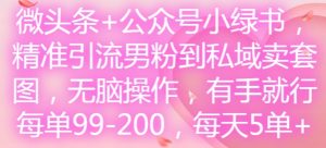 微头条+公众号小绿书,精准引流男粉到私域卖套图,无脑操作,有手就行,每单99-200,每天5单-第一资源网