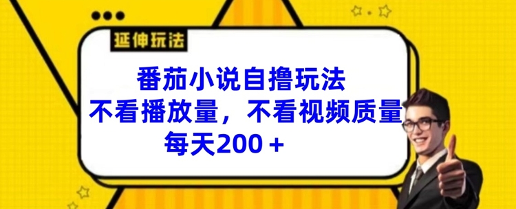 番茄小说自撸玩法，不看播放量，不看视频质量，每天200+【揭秘】-第一资源网