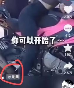 2024年7月苹果手机动图搬运技术-第一资源网