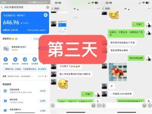 货币掘金项目，3天卖了2720！新项目内测组【限10人】-第一资源网