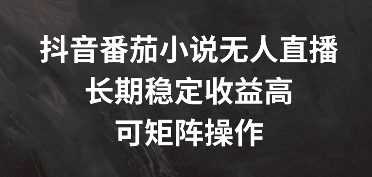 抖音番茄小说无人直播，长期稳定收益高，可矩阵操作【揭秘】-第一资源网
