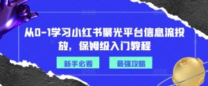从0-1学习小红书聚光平台信息流投放,保姆级入门教程-第一资源网