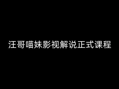 汪哥影视解说正式课程：剪映/PR教学/视解说剪辑5大黄金法则/全流程剪辑7把利器等等-第一资源网
