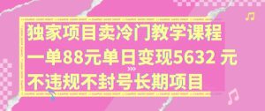 独家项目卖冷门教学课程一单88元单日变现5632元违规不封号长期项目【揭秘】-第一资源网