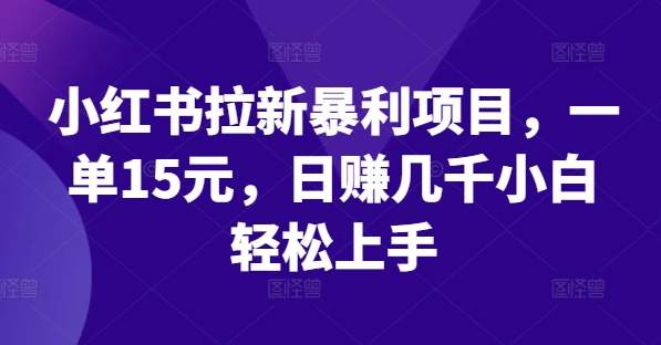 小红书拉新暴利项目，一单15元，日赚几千小白轻松上手【揭秘】-第一资源网