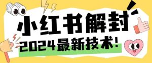 2024最新小红书账号封禁解封方法,无限释放手机号【揭秘】-第一资源网