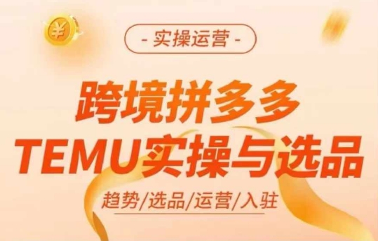 跨境拼多多TEMU实操与选品，多多temu跨境选品运营实操-第一资源网
