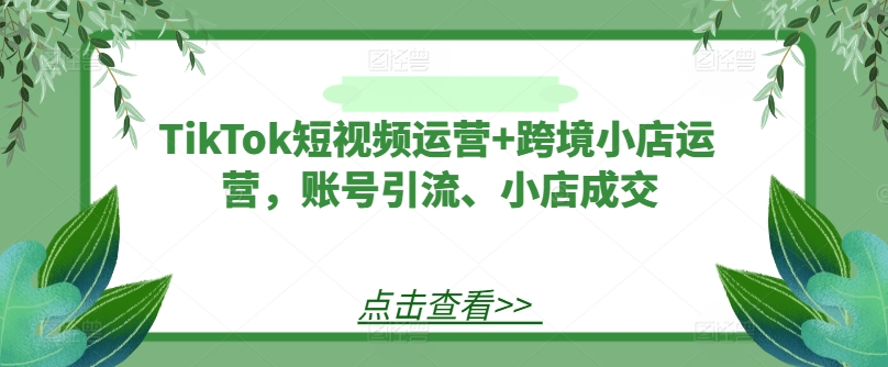 TikTok短视频运营+跨境小店运营，账号引流、小店成交-第一资源网