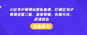小红书IP变现运营私教课,打通红书IP变现任督二脉,底层逻辑、实操方法、战训结合-第一资源网