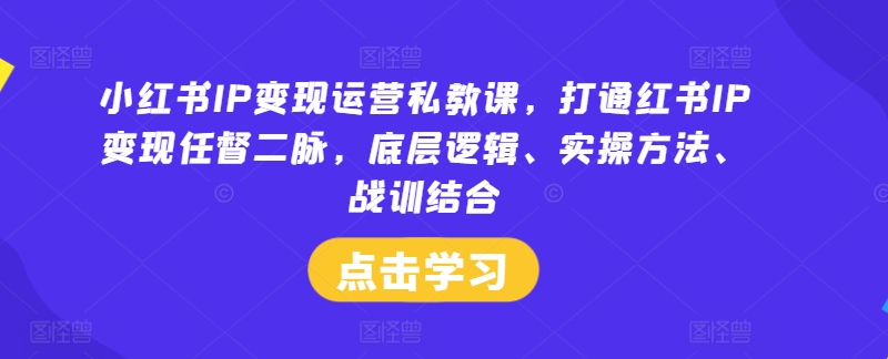 小红书IP变现运营私教课，打通红书IP变现任督二脉，底层逻辑、实操方法、战训结合-第一资源网