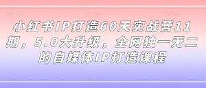 小红书IP打造60天实战营11期，5.0大升级，全网独一无二的自媒体IP打造课程-第一资源网