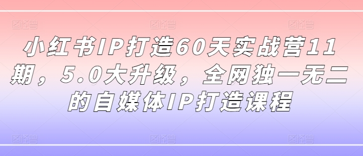 小红书IP打造60天实战营11期，5.0大升级，全网独一无二的自媒体IP打造课程-第一资源网