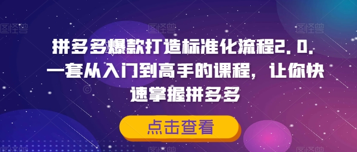 拼多多爆款打造标准化流程2.0，一套从入门到高手的课程，让你快速掌握拼多多-第一资源网