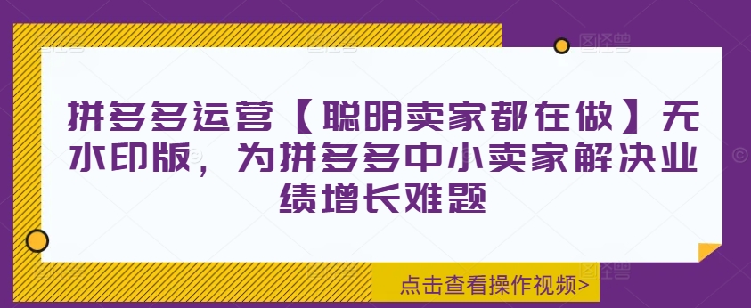 拼多多运营【聪明卖家都在做】无水印版，为拼多多中小卖家解决业绩增长难题-第一资源网