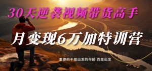 30天逆袭视频带货高手，单月变现6万加特训营-麦子甜-第一资源网