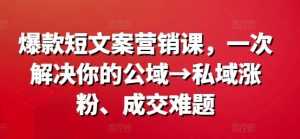 爆款短文案营销课，一次解决你的公域→私域涨粉、成交难题-第一资源网