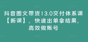 抖音图文带货13.0交付体系课【新课】,快速出单拿结果,高效做账号-第一资源网