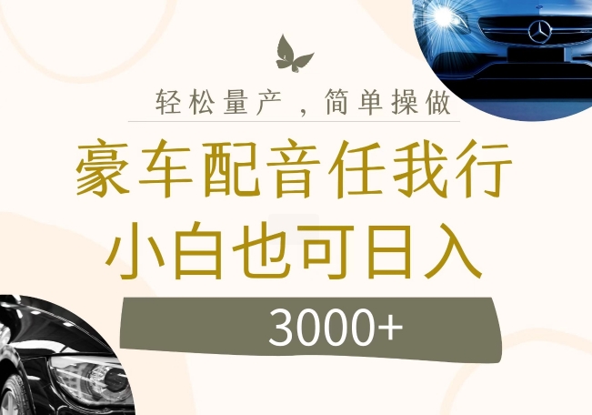 不为人知的暴力小项目，豪车配音，日入几张【揭秘】-第一资源网