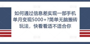如何通过信息差实现一部手机单月变现5000+?简单无脑搬砖玩法，快看看适不适合你【揭秘】-第一资源网