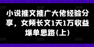 小说推文推广大佬经验分享,女频长文1天1万收益爆单思路(上)-第一资源网