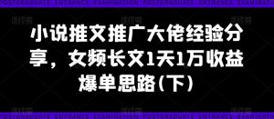 小说推文推广大佬经验分享,女频长文1天1万收益爆单思路(下)-第一资源网