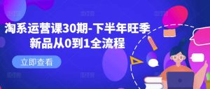 淘系运营课30期-下半年旺季新品从0到1全流程-第一资源网