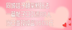 同城搭子相亲新玩法一篇帖子引流80人当日变现3600元(项目教程+实操教程)【揭秘】-第一资源网