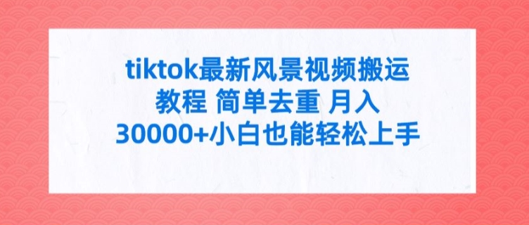 tiktok最新风景视频搬运教程 简单去重 月入3W+小白也能轻松上手【揭秘】-第一资源网
