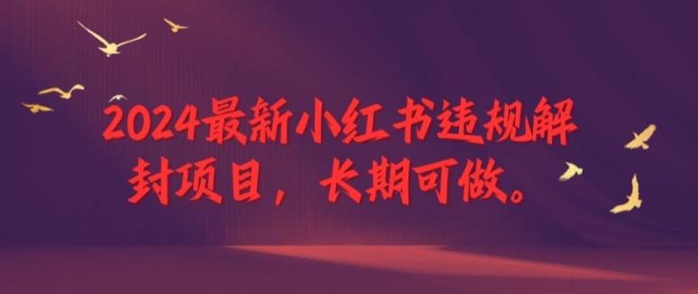 2024最新小红书违规解封项目，长期可做，一个可以做到退休的项目【揭秘】-第一资源网
