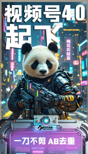 梅花实验窒微信视频号连怼玩法技巧起飞4.0一键AB破解版【揭秘】-第一资源网