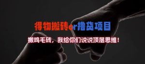 得物搬砖撸货项目?掰下数据,我给你们说说顶层思维【揭秘】-第一资源网