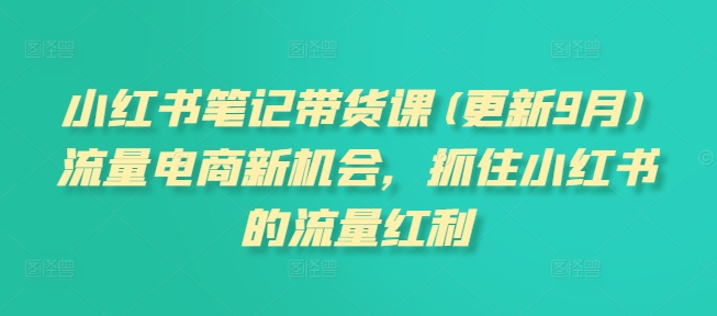 小红书笔记带货课(更新9月)流量电商新机会，抓住小红书的流量红利-第一资源网