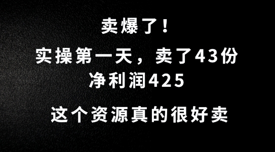 这个资源，需求很大，实操第一天卖了43份，净利润425【揭秘】-第一资源网