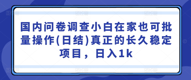 国内问卷调查小白在家也可批量操作(日结)真正的长久稳定项目，日入1k【揭秘】-第一资源网