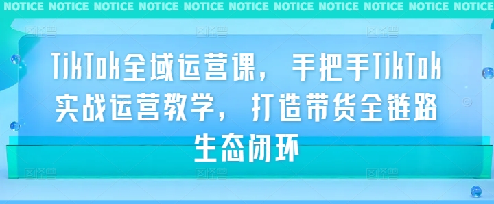 TikTok全域运营课，手把手TikTok实战运营教学，打造带货全链路生态闭环-第一资源网