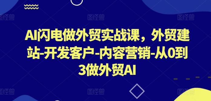 AI闪电做外贸实战课，​外贸建站-开发客户-内容营销-从0到3做外贸AI（更新）-第一资源网