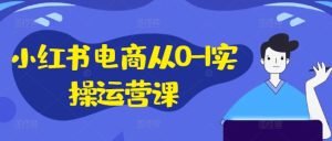 小红书电商从0-1实操运营课,小红书手机实操小红书/IP和私域课/小红书电商电脑实操板块等-第一资源网
