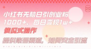 小红书无脑每日引流创业粉500+,小白每天只花半小时,躺赚长尾收益【揭秘】-第一资源网