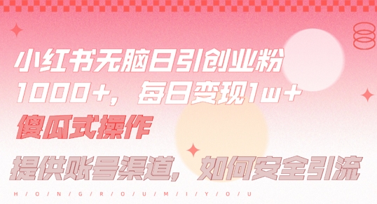 小红书无脑每日引流创业粉500+，小白每天只花半小时，躺赚长尾收益【揭秘】-第一资源网